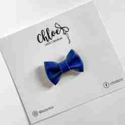 Lazo Modelo pajarita azul